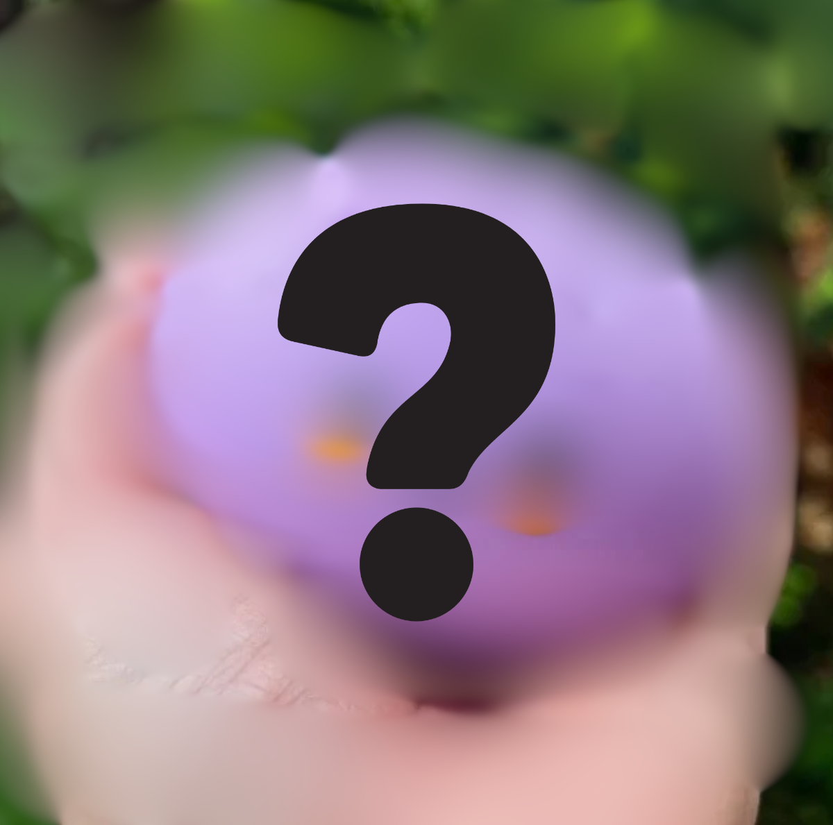 Mystery Squishy